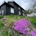 Historic Log House At The Foot Of Middagstind *