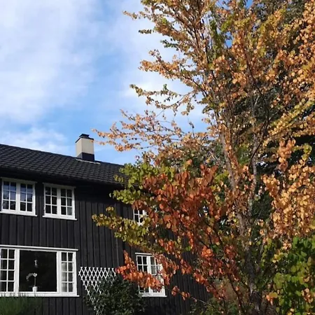 Historic Log House At The Foot Of Middagstind *