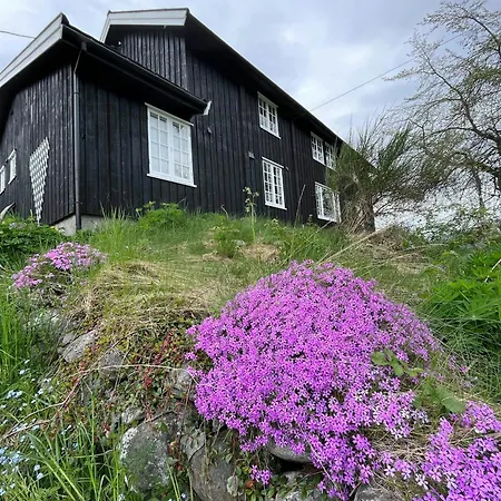 Historic Log House At The Foot Of Middagstind *