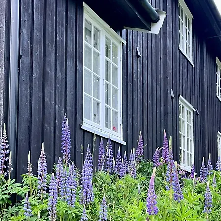 Historic Log House At The Foot Of Middagstind Semesterbostad *
