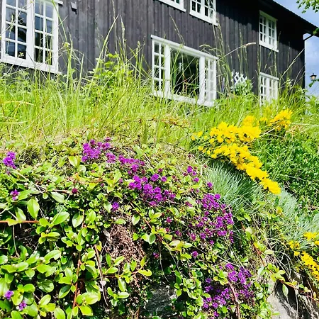 펜션 Historic Log House At The Foot Of Middagstind *